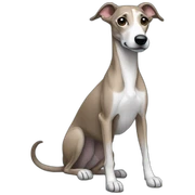 whippet sticker
