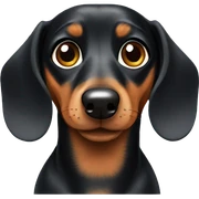 Dachshund  sticker