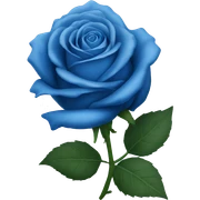 blue rose  sticker