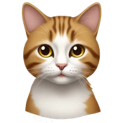 kahve içen kedi sticker