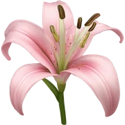 light pink lilium sticker