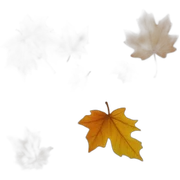  fall sticker