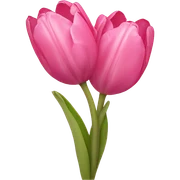 Pink tulips with a bow sticker