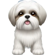 White shih tzu sticker
