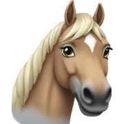 Schimmel Pferd sticker