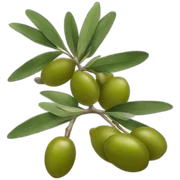 Olive sticker