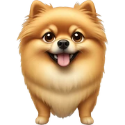 Pomeranian sticker