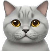 british shorthair sticker