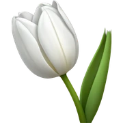 white tulip sticker