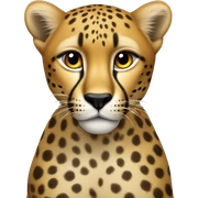 cheetah sticker