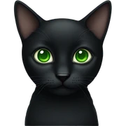 Black cat with green eyes sticker