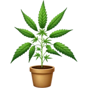 Weed sticker