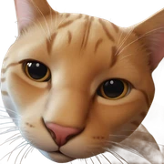 realistic cat with closed mouth sticker