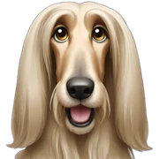 Afghan hound sticker