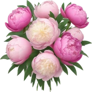 Bouquet of peonies sticker