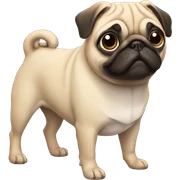 pug sticker