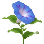 Morning glory flower  sticker