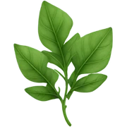 greek leaves sticker
