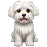 maltese dog sticker