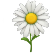 DAISY sticker