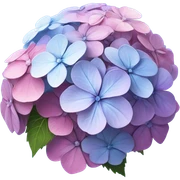 hydrangeas sticker