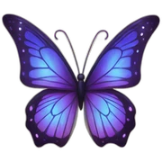 magical butterfly sticker