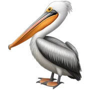 pelican sticker