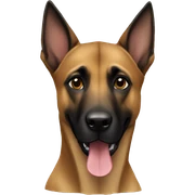 Malinois  sticker