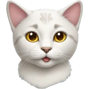 Cat  sticker