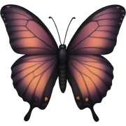 Black butterfly  sticker