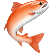 salmon sticker