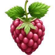 Raspberry sticker