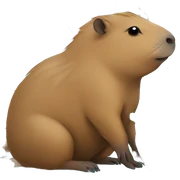 capybara with strawberries sticker