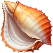 Conch  sticker