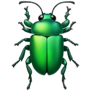 beetle sticker
