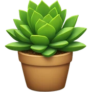 Succulent  sticker