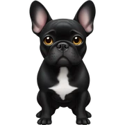 Black French bulldog sticker