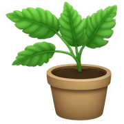Plant sticker