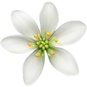 White flowers  sticker