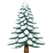  actual white fir christmas tree isolated.  sticker