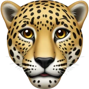 Jaguar sticker