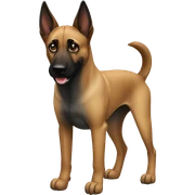 Malinois sticker