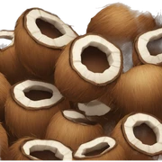 coconut sticker