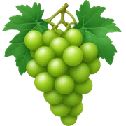 Green grape sticker
