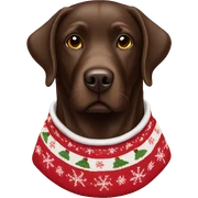 Chocolate Labrador wearing Christmas sweater  sticker