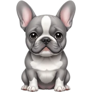 Grey, white, French bulldog sticker