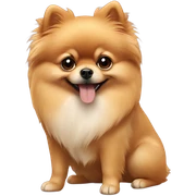 pomeranian  sticker