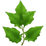ivy sticker