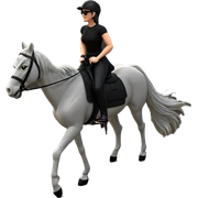 rider in black attire sticker
