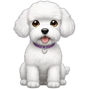 bichon frise sticker